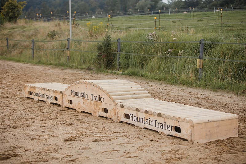 Mobile Rundholzkombination