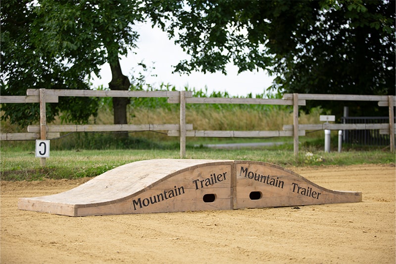 Mobile Spitz-/Hängebrücke