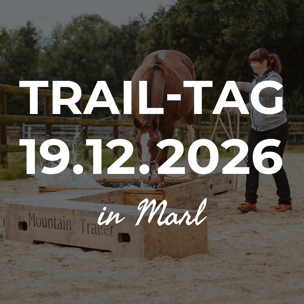 Trail-Tag Weihnachtsspecial 19.12.2026 in Marl